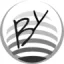 bigyipsylon.fr favicon