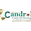 candrol.com favicon