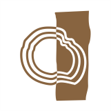 casa-massiva.de favicon