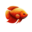 rehomebv.com favicon