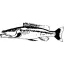 shop.malawicarsten.dk favicon