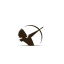 sporttirchasse.com favicon