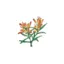 westernnativeseed.com favicon