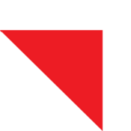 n4g.com favicon