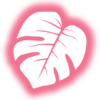 nkexotics.nl favicon