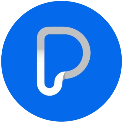 payine.com favicon