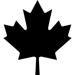 theraincouver.com favicon
