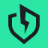 evercars.com favicon