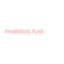 panflag.com favicon