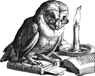 realwis.com favicon