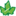 selsevergreen.be favicon