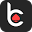 bcasino.ie favicon