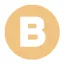 bulkstore.net favicon