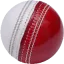 cricdiction.com favicon