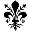 la-fiorentina.it favicon
