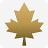 tooniecasino.ca favicon
