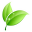 acceleratefacilities.com favicon