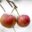appelmoesmaken.eu favicon