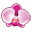 blumen-janke.de favicon