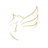 chevaline.be favicon