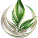 dein-heilpraktiker.com favicon