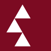 diamir.de favicon