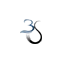 brandofsialkot.com favicon