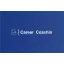 careercoachin.com favicon