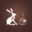 jackrabbit.coffee favicon