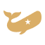 meetfellow.com favicon