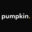 pumpkincareers.com favicon