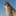 wpfastestcache.com favicon