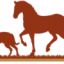 countrycrew.it favicon