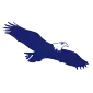 eagle.com favicon
