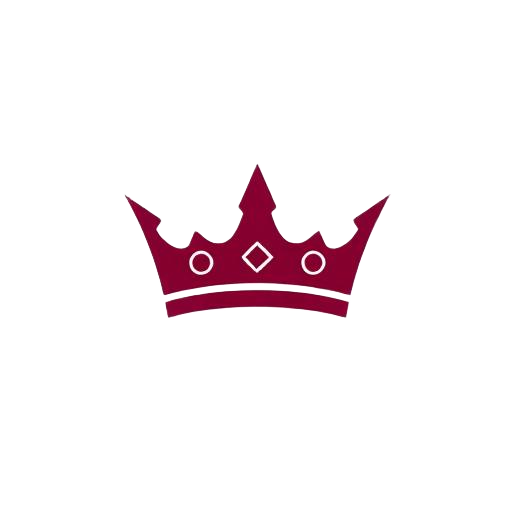 playmorelord.com favicon