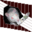 rattenecke.com favicon