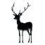 restaurant-cc.com favicon