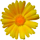 tuinplantenzaden.nl favicon