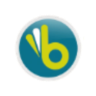 betfalme.org favicon