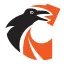 crow-security.ch favicon