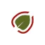 japaneseknotweedspecialists.com favicon