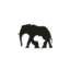 topcreamsafaris.com favicon