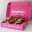 candyvia.top favicon