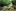 chihuahuasvomalztal.de favicon