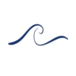 cleartechpools.com favicon