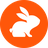 coderabbit.ai favicon