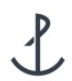 pierone-nl.com favicon