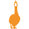 citygoose.nl favicon