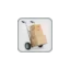 yourmovingpro.com favicon