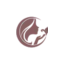 aestheticcosmtics.com favicon
